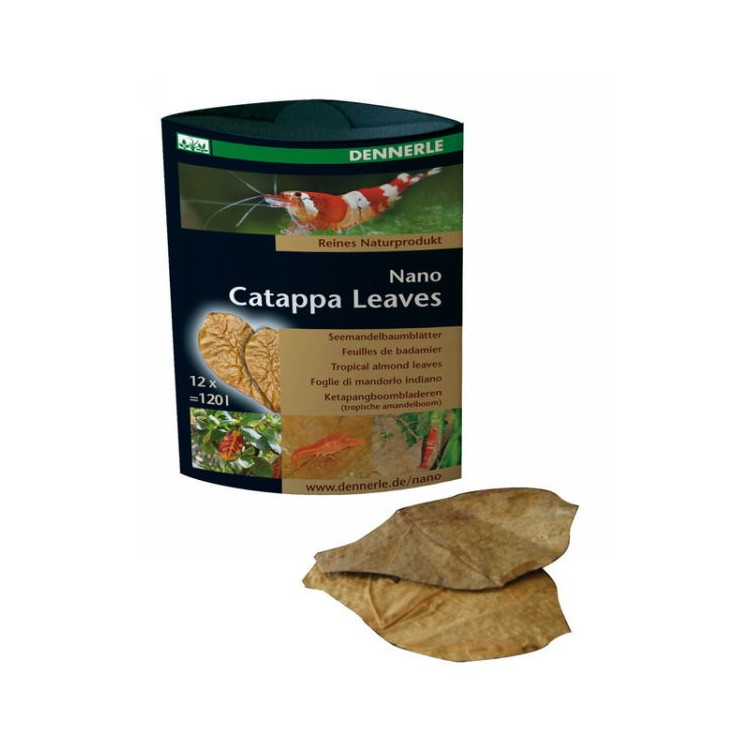 Integratore Nano Catappa Leaves 12 foglie 8x5cm