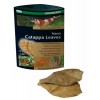 Integratore Nano Catappa Leaves 12 foglie 8x5cm