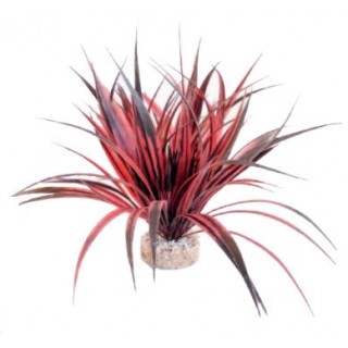 Piante plastica Amazonia 22 cm