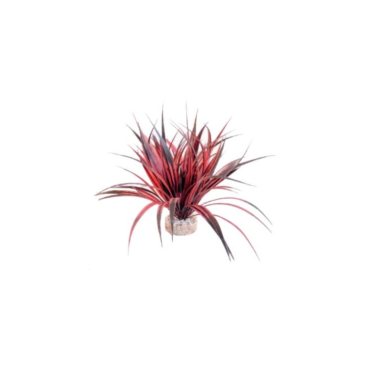 Piante plastica Amazonia 22 cm