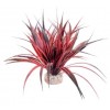 Piante plastica Amazonia 22 cm