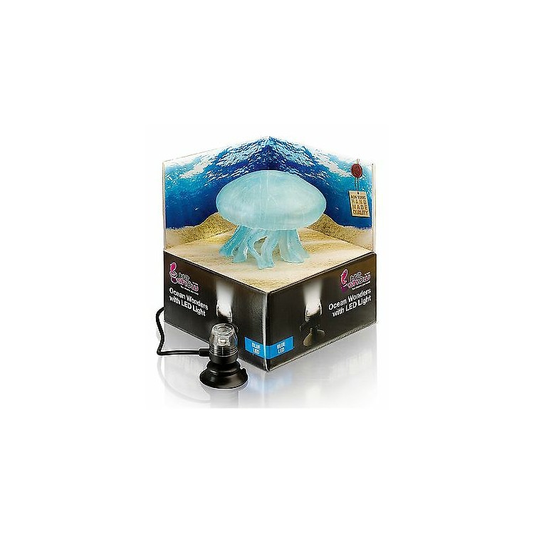Decorazione H2Show Medusa con led blu