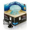Decorazione H2Show Medusa con led blu