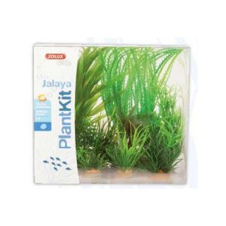 Piante sintetiche Plantkit...