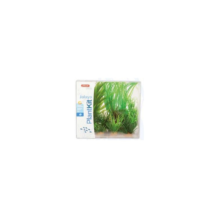Piante sintetiche Plantkit Jalaya n°1 - 6 piante