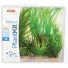 Piante sintetiche Plantkit Jalaya n°1 - 6 piante