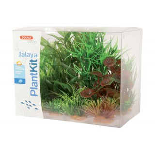 Piante sintetiche Plantkit...