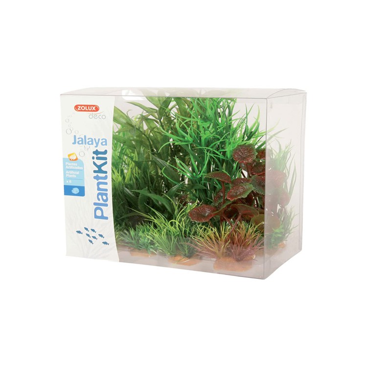 Piante sintetiche Plantkit Jalaya n°2 - 6 piante