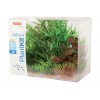 Piante sintetiche Plantkit Jalaya n°2 - 6 piante