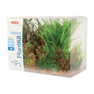 Piante sintetiche Plantkit...
