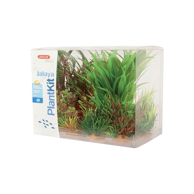 Piante sintetiche Plantkit Jalaya n°3 - 6 piante