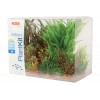 Piante sintetiche Plantkit Jalaya n°3 - 6 piante
