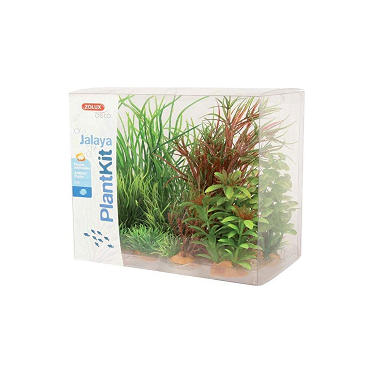 Piante sintetiche Plantkit Jalaya n°4 - 6 piante