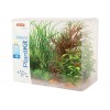 Piante sintetiche Plantkit Jalaya n°4 - 6 piante