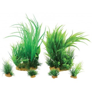 Piante sintetiche Plantkit Jalaya n°1 - 6 piante