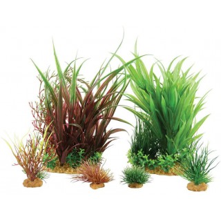 Piante sintetiche Plantkit Jalaya n°3 - 6 piante