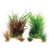 Piante sintetiche Plantkit Jalaya n°3 - 6 piante