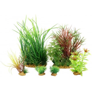 Piante sintetiche Plantkit Jalaya n°4 - 6 piante