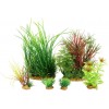 Piante sintetiche Plantkit Jalaya n°4 - 6 piante