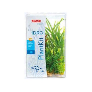 Piante sintetiche Plantkit...