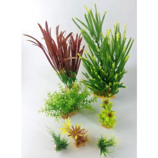 Piante sintetiche Plantkit Idro n°4 - 7 piante