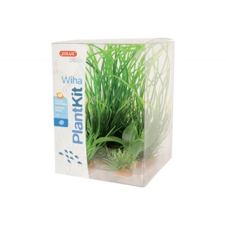 Piante sintetiche Plantkit...
