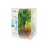 Piante sintetiche Plantkit Wiha n°2 - 3 piante
