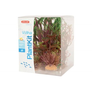 Piante sintetiche Plantkit...