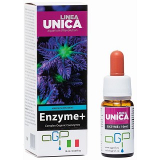 Integratore Unica Enzyme +...