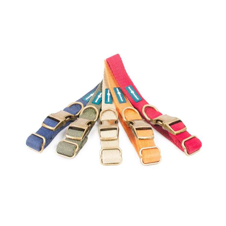 Collare regolabile Eco Soia FCGreen Arancione Tg L 2x33-50cm