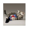 Gioco Kong Cat Kickeroo