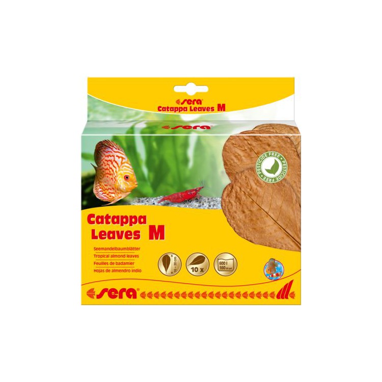Integratore Catappa Leaves M 16-20 cm 10 foglie