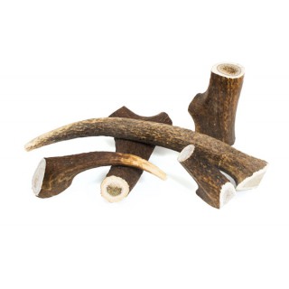 Corna di Cervo XL 151-225gr