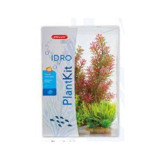 Piante sintetiche Plantkit...