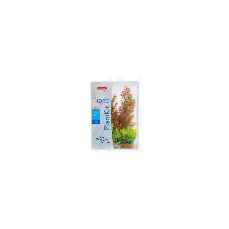 Piante sintetiche Plantkit Idro n°1 - 7 piante