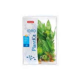 Piante sintetiche Plantkit...