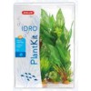 Piante sintetiche Plantkit Idro n°2 - 6 piante