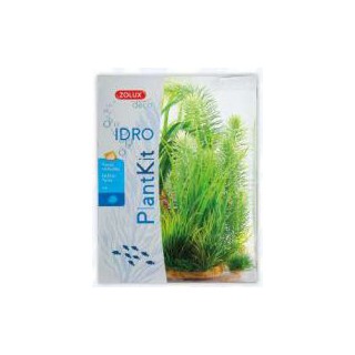 Piante sintetiche Plantkit...