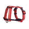 Pettorina Beam Tomato tg M