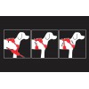 Pettorina Rukka Solid Nera tg XS