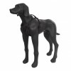 Pettorina Rukka Solid Nera tg XS