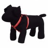 Pettorina Beam Tomato tg M