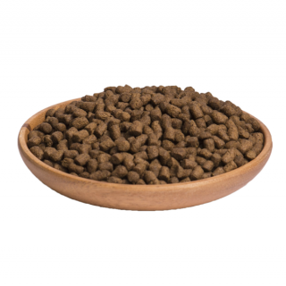 Wellness Core Ocean Salmone e Tonno 300 g