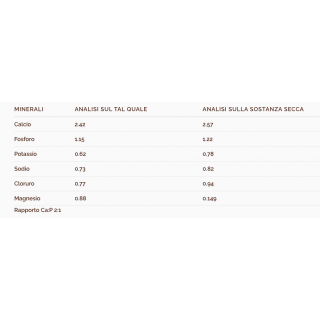 Wellness Core Sterilised Salmone 300 g
