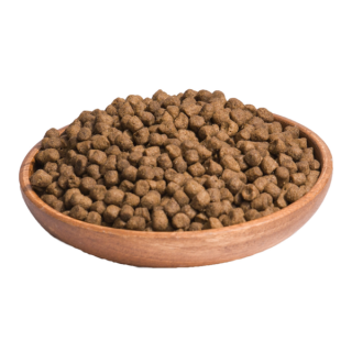 Wellness Core Sterilised Salmone 300 g