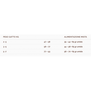 Wellness Core Sterilised Salmone 300 g