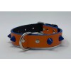 Collare My Queen Arancione borchia cono blu 35x2cm