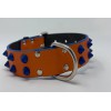Collare My Queen Arancione borchia cono blu 45x3cm
