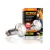 Lampada Basking Spot Sun Glo S 20/ 50 w
