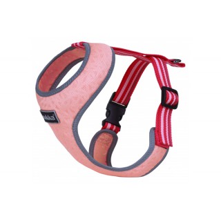 Pettorina Laser Mini Light...